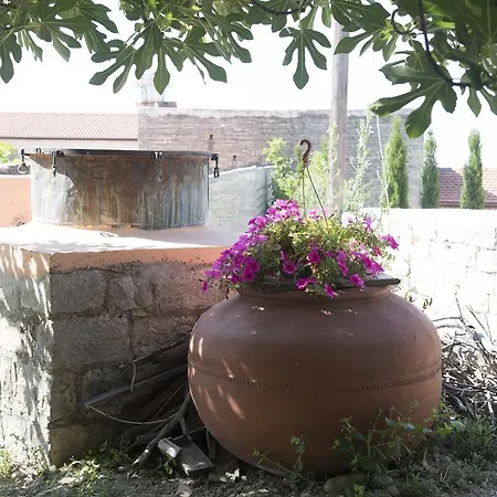 Marianna Mansion 別荘