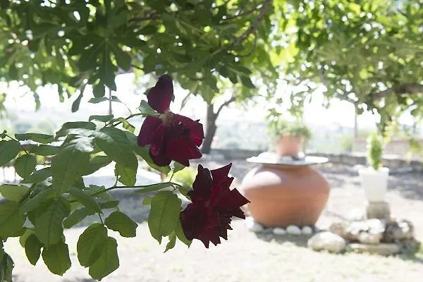 Marianna Mansion * Pachna