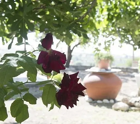 Marianna Mansion * Pachna